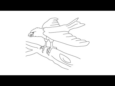 480x360 How To Draw An Eagle