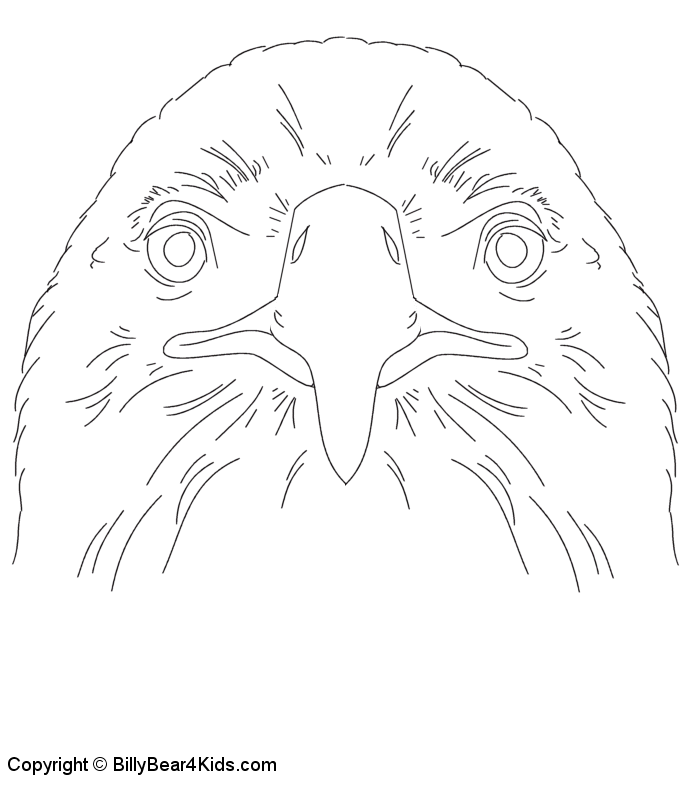 700x800 Pictures Of Eagles To Color 373666