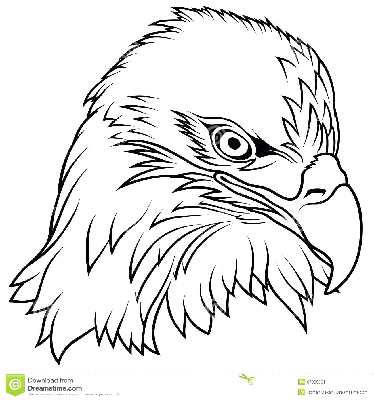 Coloring Pages Realistic Bald Eagle Coloring Pages