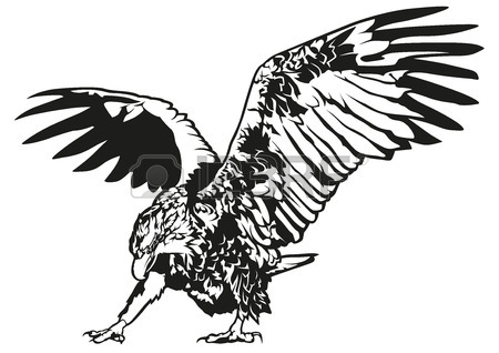 450x318 Black And White Flying Eagle