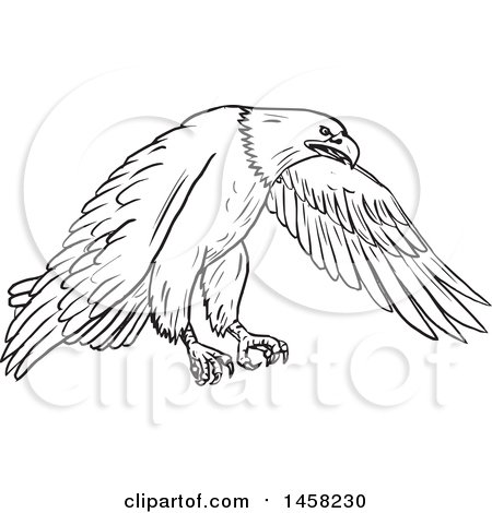 450x470 Clipart Of A Flying Bald Eagle, In Sketched Black And White Style