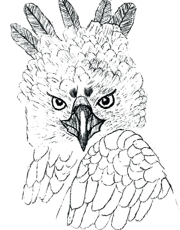 600x769 Eagle Coloring Book As Well As Eagle Coloring Eagle Flying