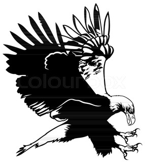 286x320 Flying Bald Eagle