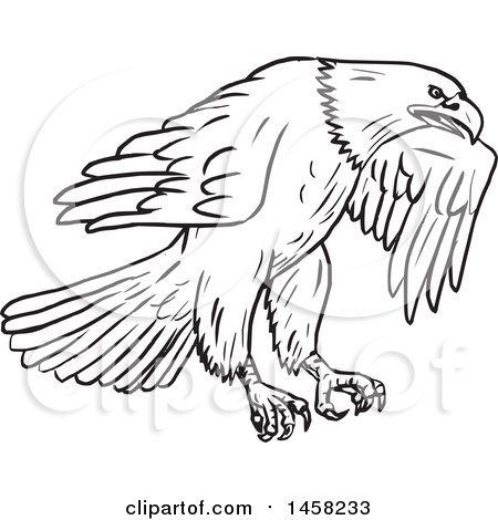 450x470 Royalty Free Eagle Illustrations By Patrimonio Page 1
