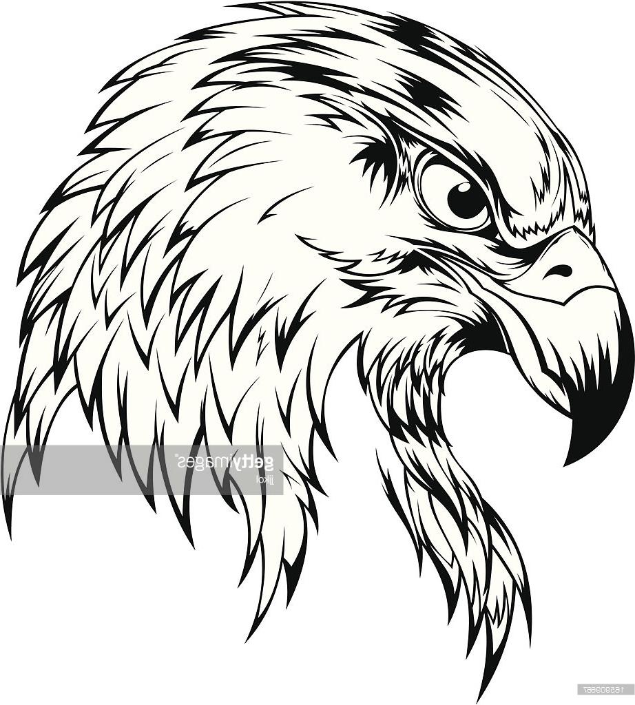 Bald Eagle Head Drawing at GetDrawings | Free download