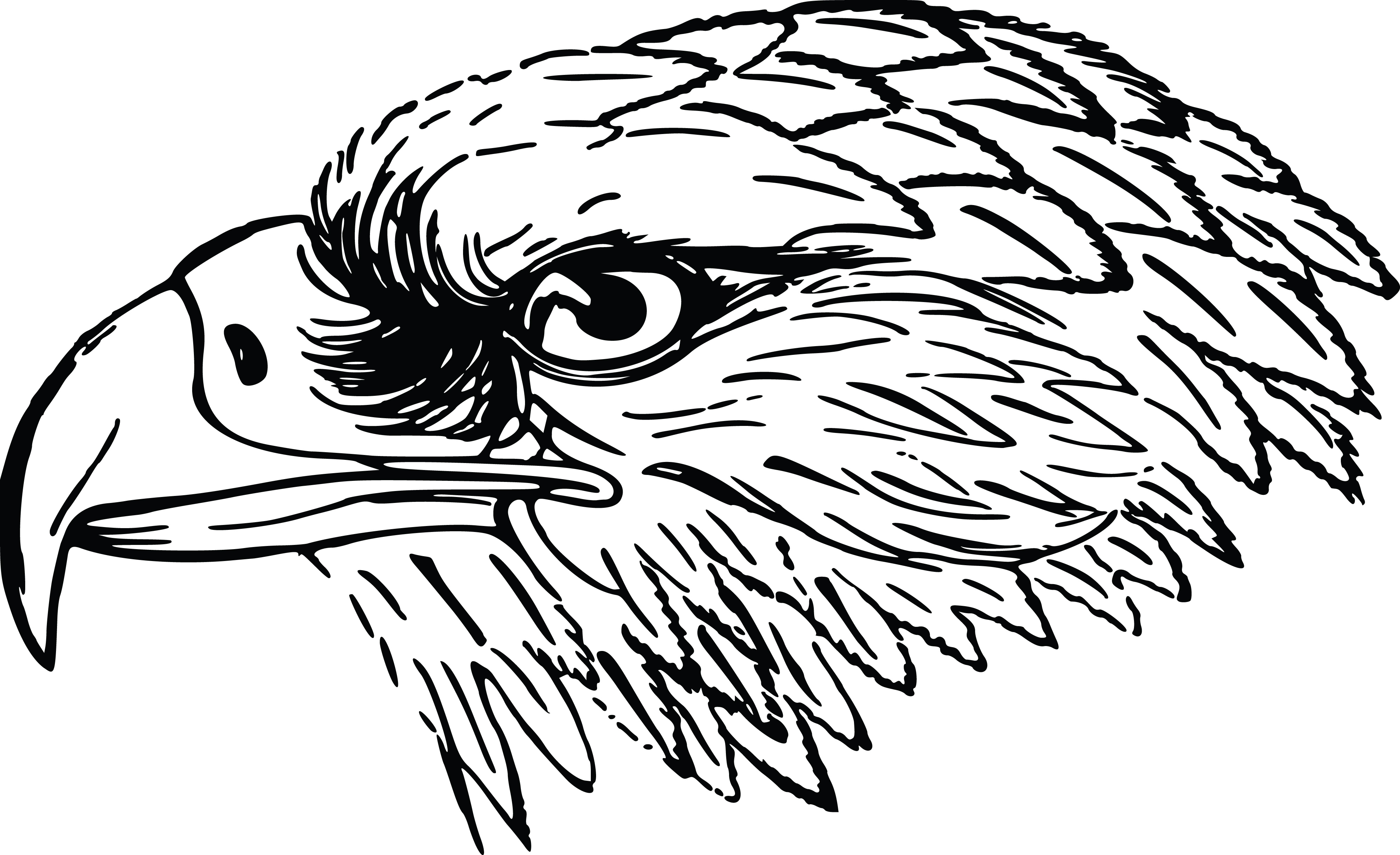 4000x2443 Clipart Of A Black And White Falcon Or Eagle Head