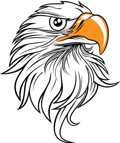 504x598 Eagle Head 11 Clip Art