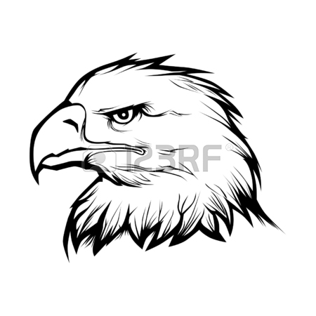450x450 Eagle Head Stock Photos. Royalty Free Business Images