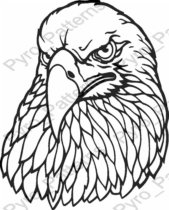 570x706 Pyrography Wood Burning Eagle Head Bird Pattern Printable