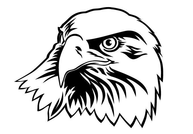 680x472 Bald Eagle Head Wall Decal