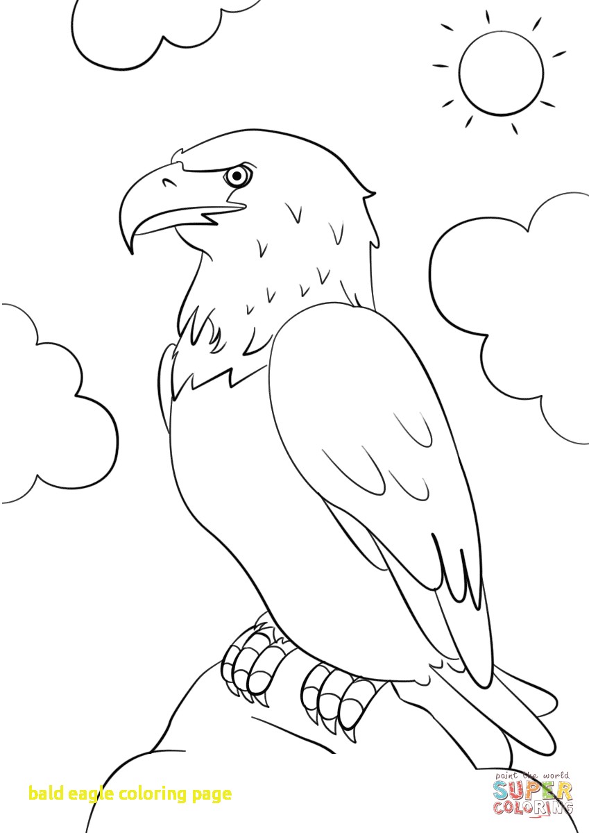 849x1200 Bald Eagle Coloring Page With Cartoon Bald Eagle Coloring Page