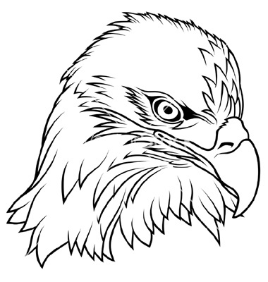 Bald Eagle Line Drawing at GetDrawings | Free download