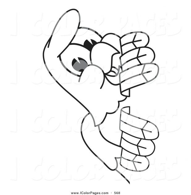 618x630 Coloring Marvellous Bald Eagle Pictures To Color. Bald Eagle