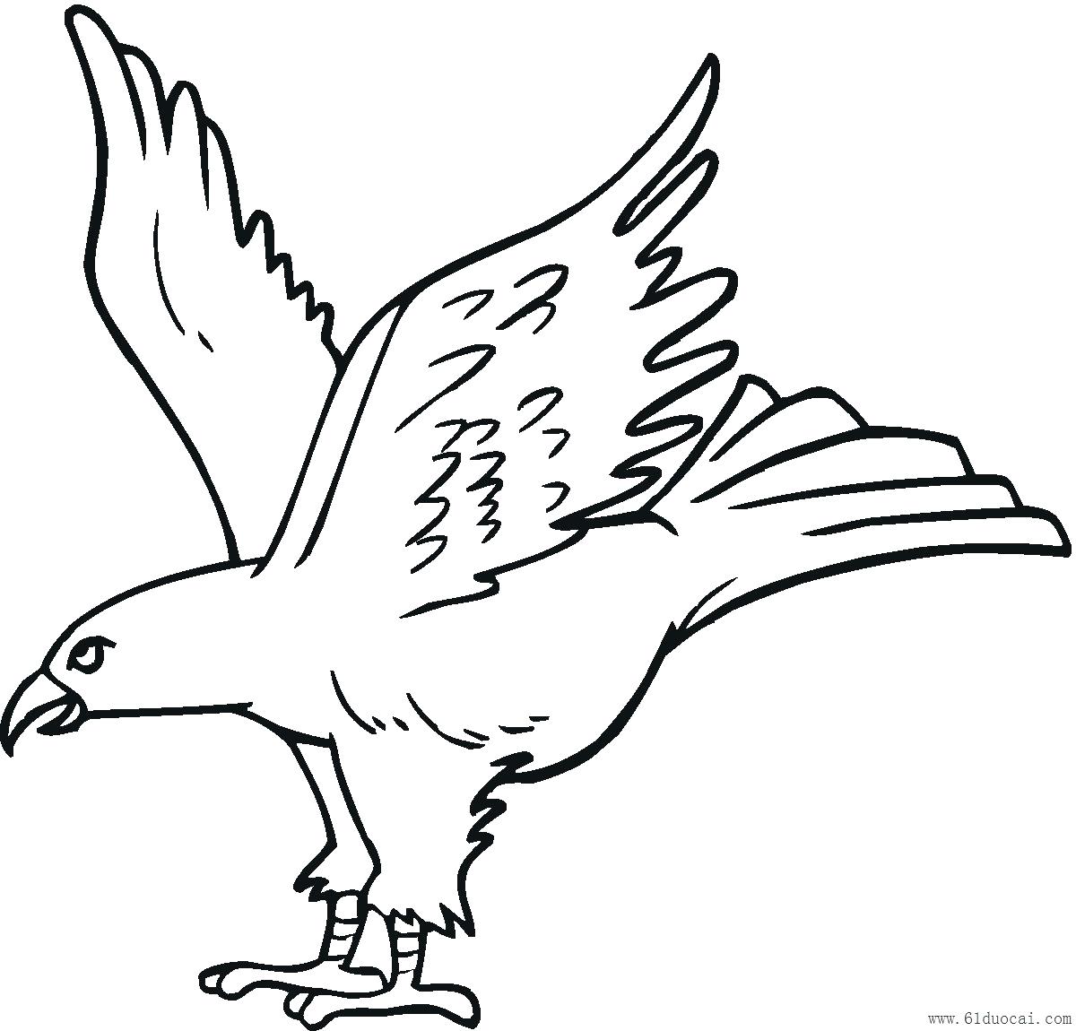 Bald Eagle Outline Drawing at GetDrawings | Free download