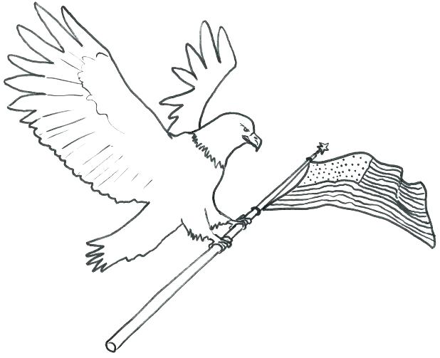 618x503 Harpy Eagle Coloring Page