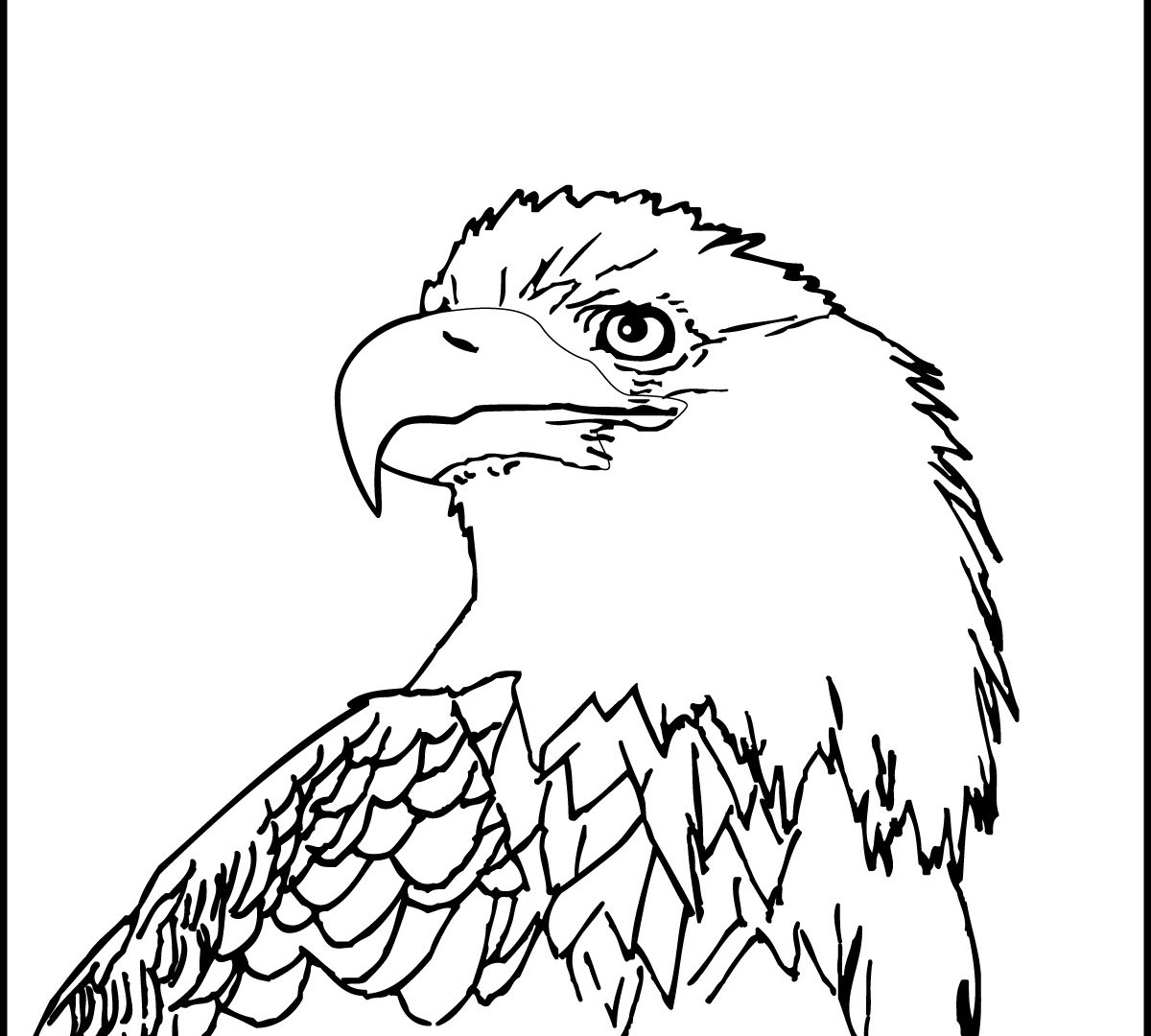 1200x1080 Bald Eagle Coloring Page Free