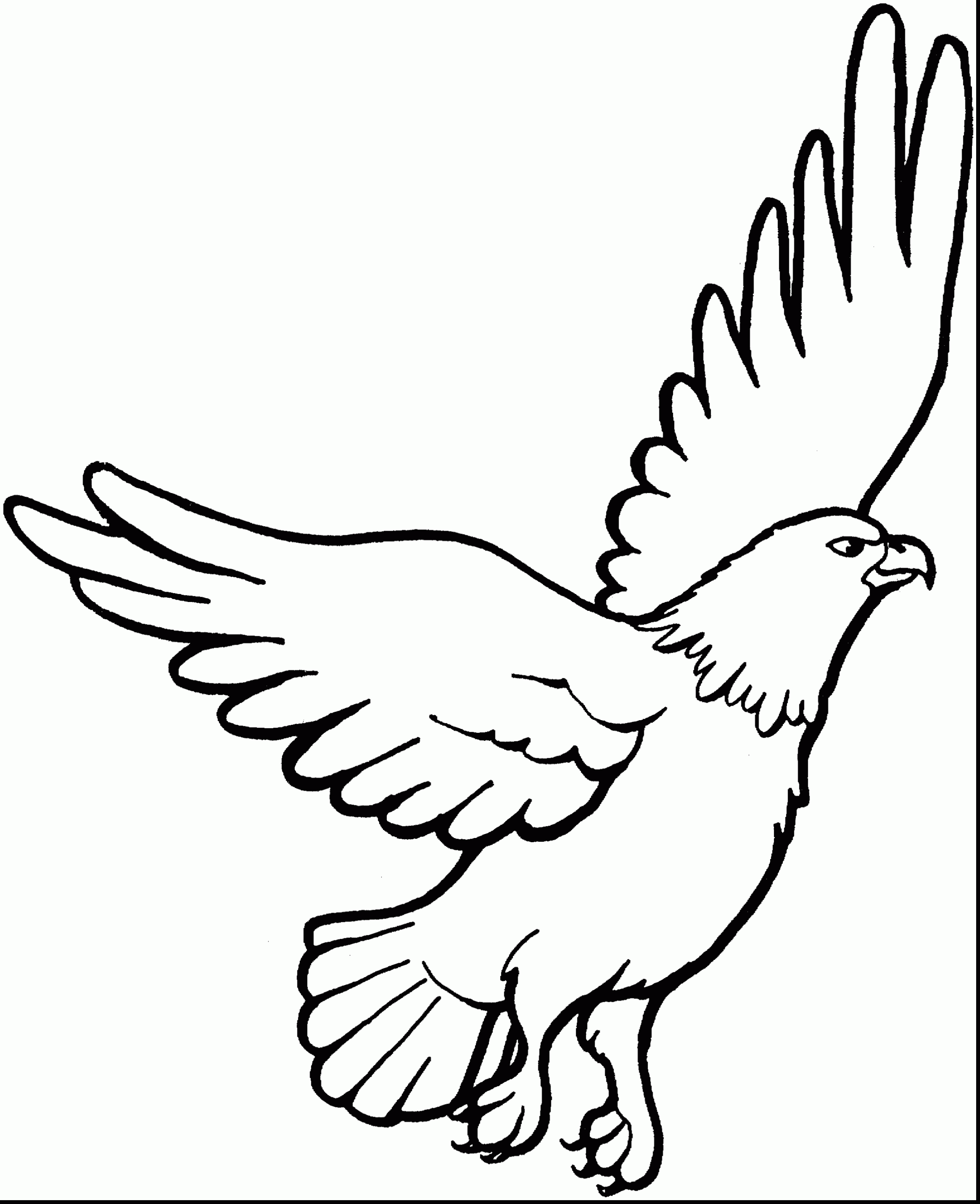 2554x3138 Bald Eagle Clipart Harpy Eagle