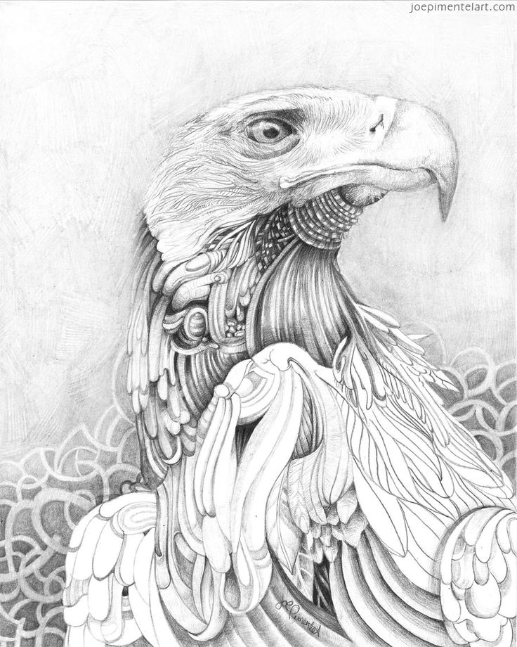 736x920 13 Best Pencil Drawings Images On Drawings In Pencil
