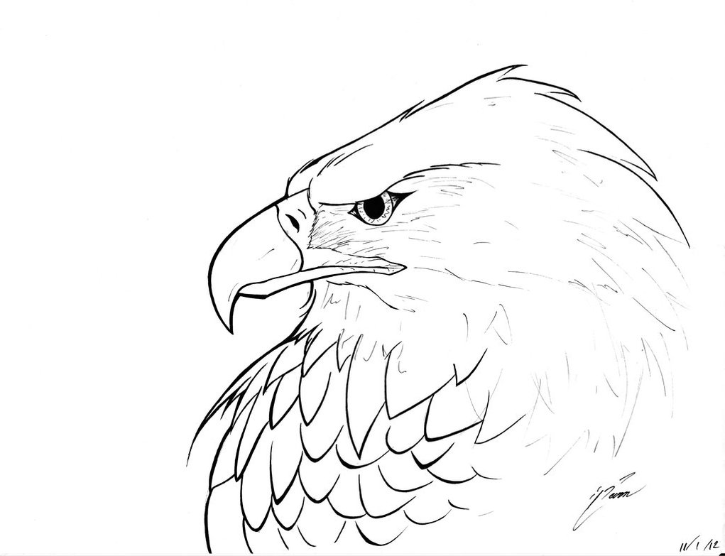 Bald Eagle Pencil Drawing at GetDrawings | Free download