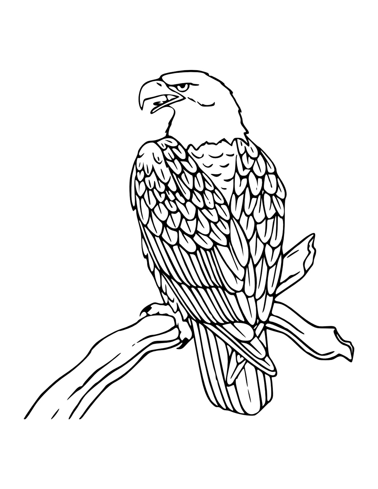 1275x1650 Free Eagle Coloring Pages With Printable Bald Eagle Coloring Pages