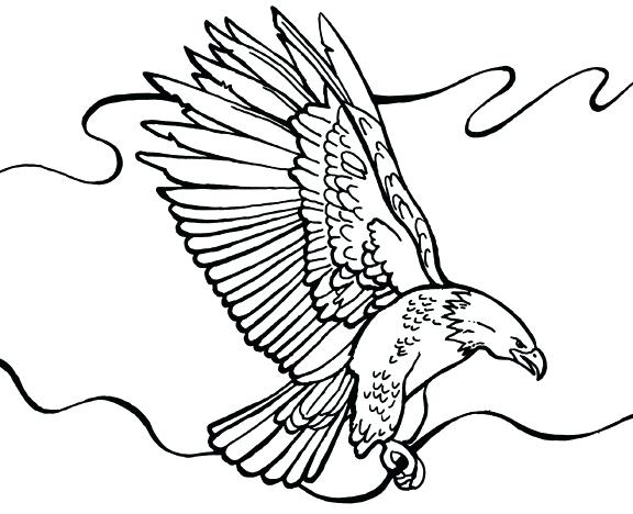 576x468 Harpy Eagle Coloring Page Full Size Of Eagle Coloring Pages