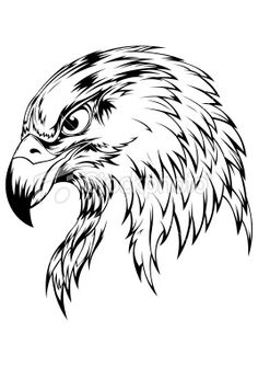 236x334 Eagle Drawing Did It!!!!!!! Eagle Drawing