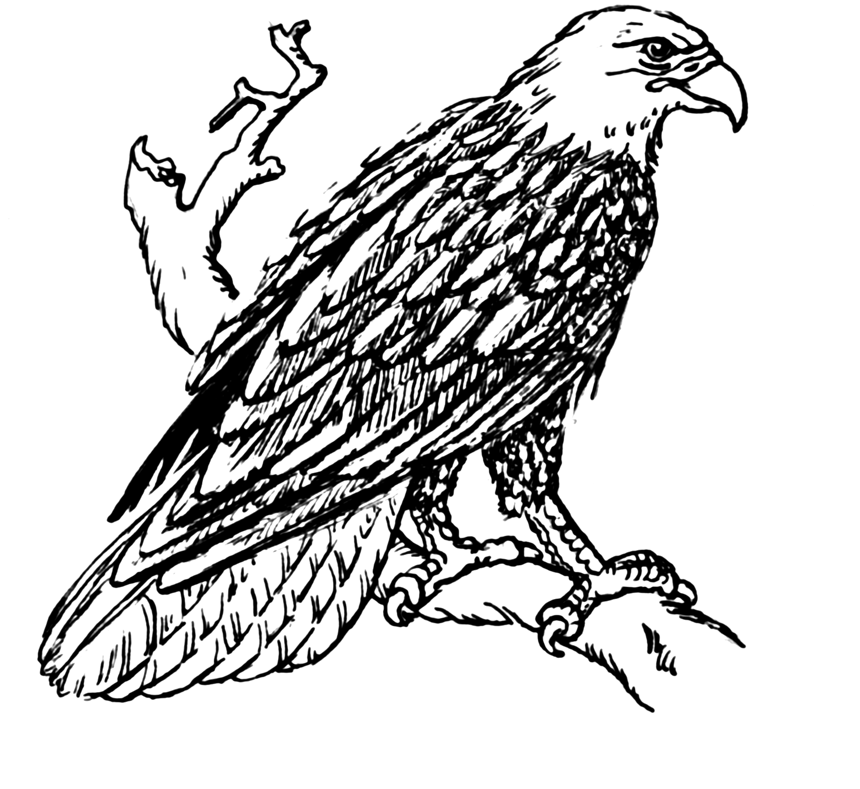 1738x1595 Bald Eagle Clipart German Eagle