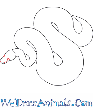 300x350 How To Draw A Python