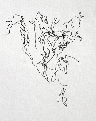 318x400 Debra Luccio