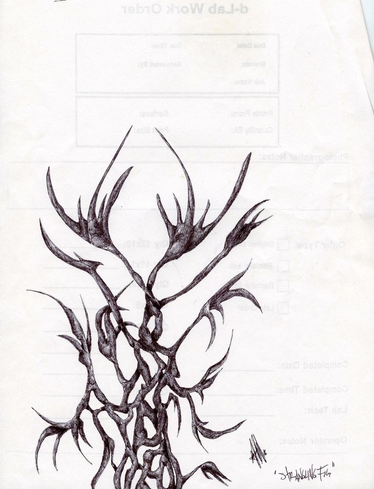 736x962 48 Best Drawings Images On Draw, Ballpoint Pen And Pens