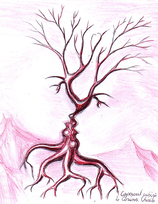 544x701 Tree Korinna's Universe