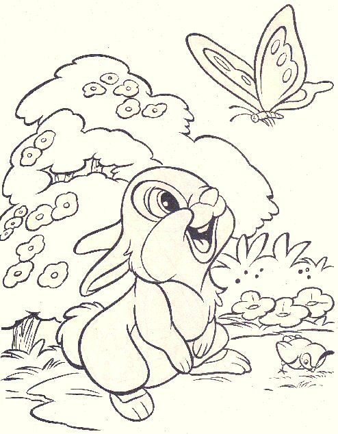 494x634 47 Best Thumper Images On Easter, Bambi And Bunny Rabbit