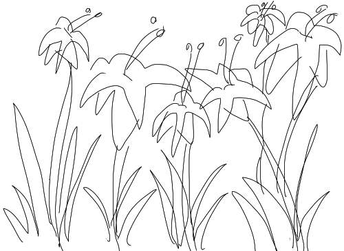 500x365 On Using The Bamboo Fun