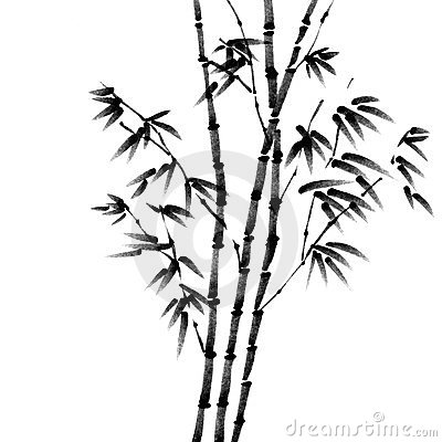 400x400 Wild Bamboo Sketches