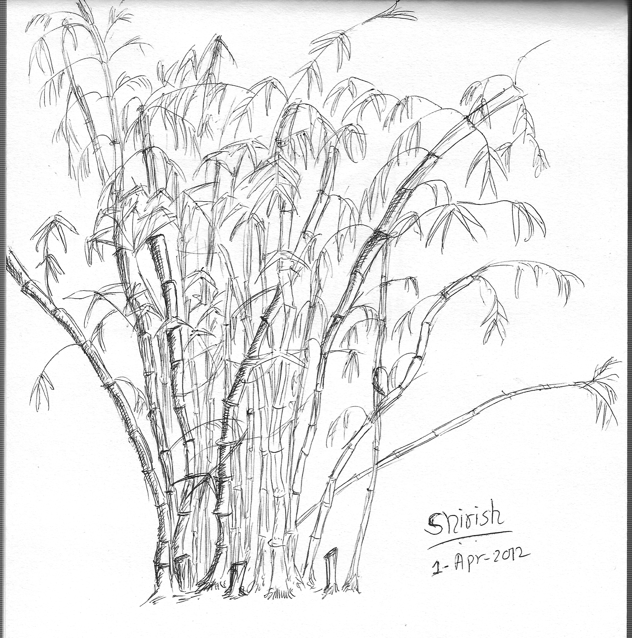 2045x2064 Monocrome Hues And Tones