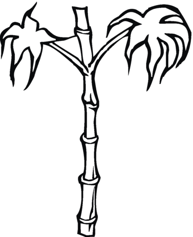 391x480 Bamboo Coloring Page Free Printable Coloring Pages