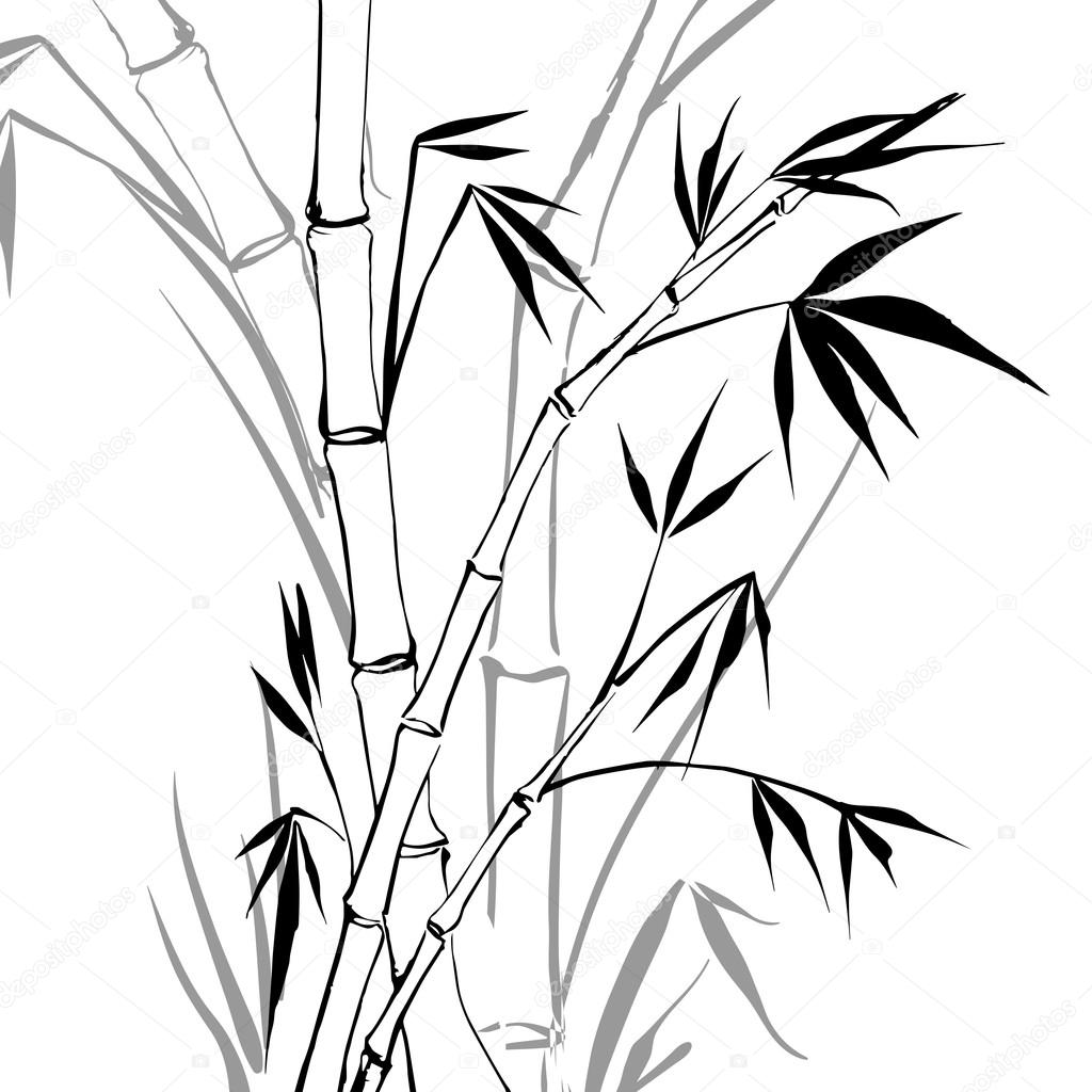 1024x1024 Bamboo Stock Vector Kotkoa