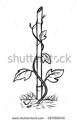 300x470 Drawn Bamboo Cartoon