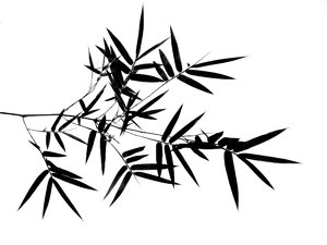 300x225 Free Stock Photos