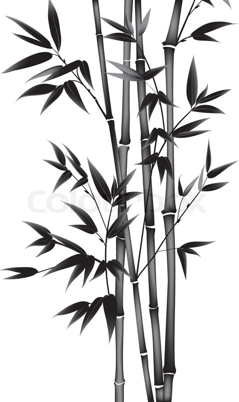 477x800 Ink Paint Bamboo Bush. Card With Black Bamboo Plants Isolated