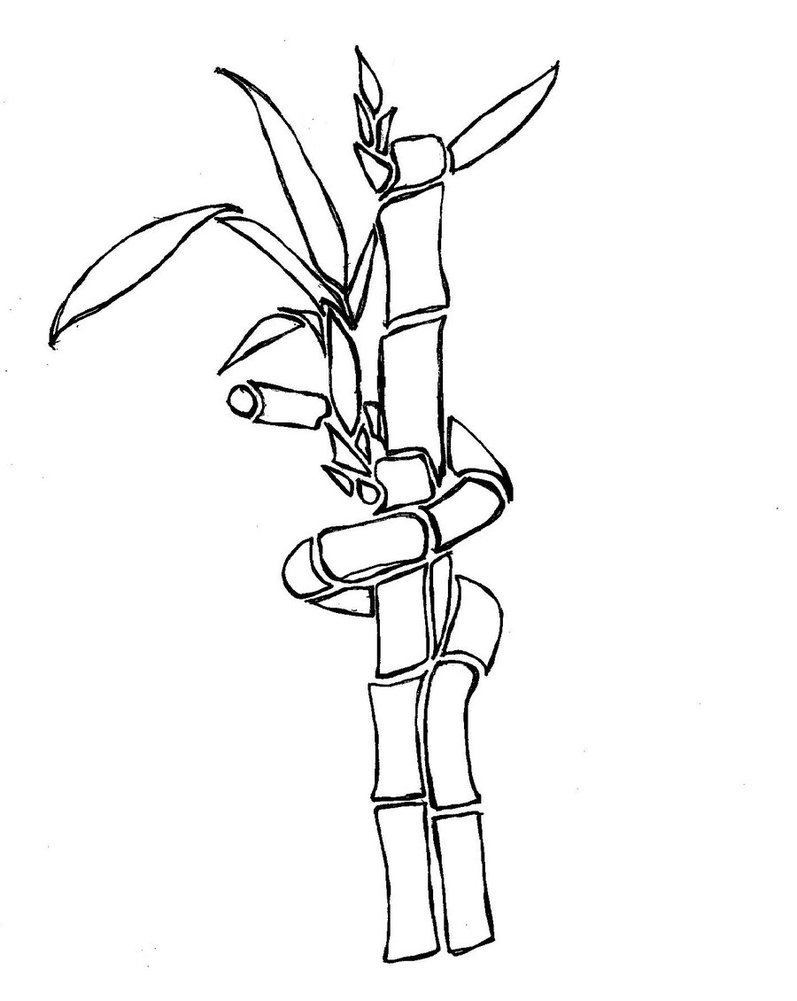 797x1001 Lucky Bamboo Stencil By Silkentracker
