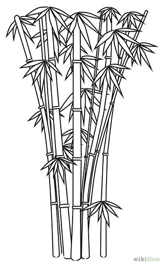 339x549 Draw Bamboo Cartoon