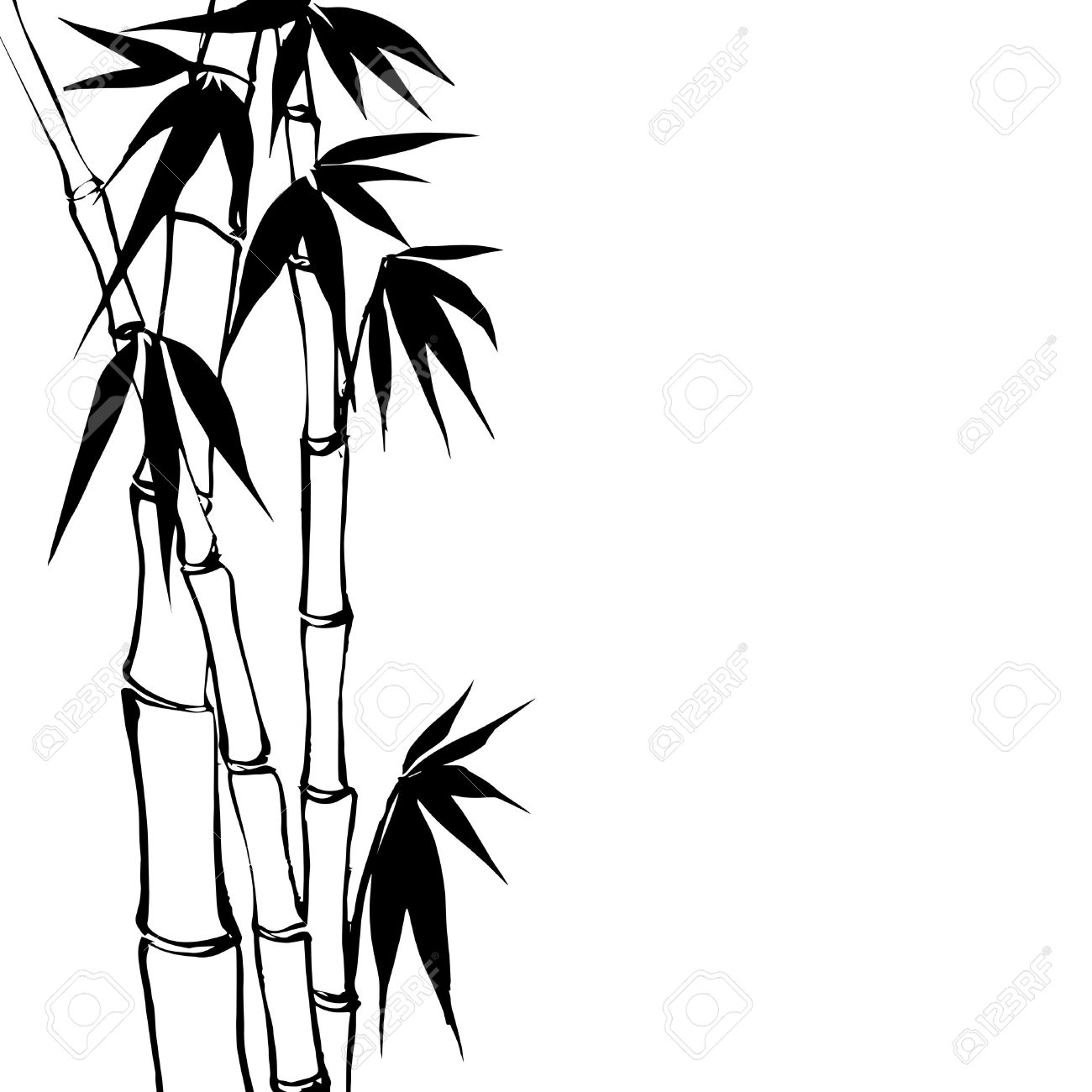 1300x1300 Bamboo Royalty Free Cliparts, Vectors, And Stock Illustration