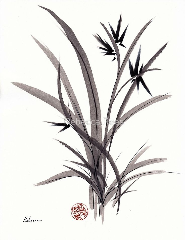 Bamboo Forest Drawing