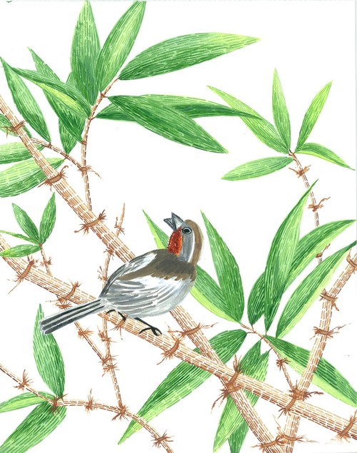 500x635 Buy Bamboo 1 Handmade Painting By Suruchi Agarwal. Code