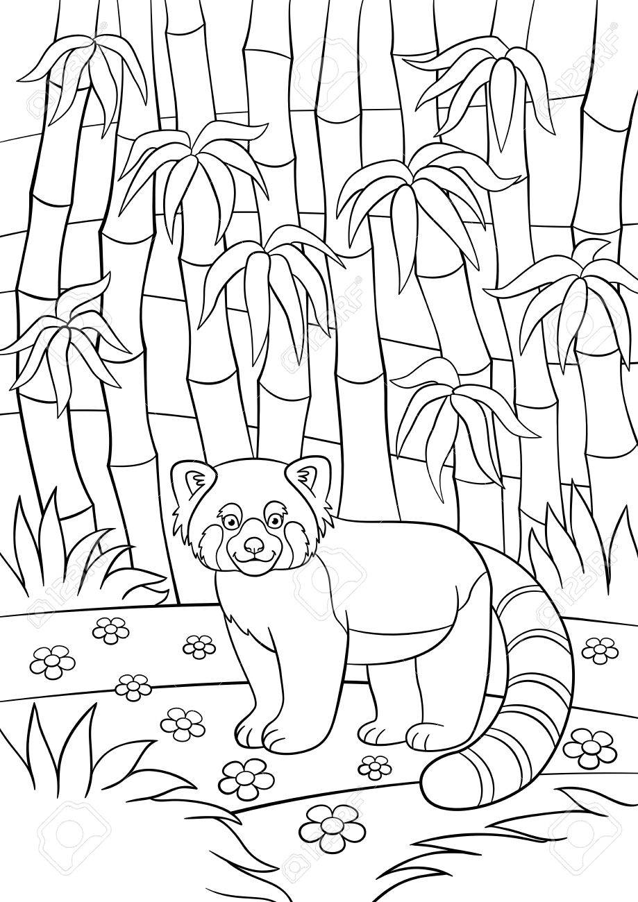 919x1300 Coloring Pages. Little Cute Red Panda Stands In The Bamboo Forest