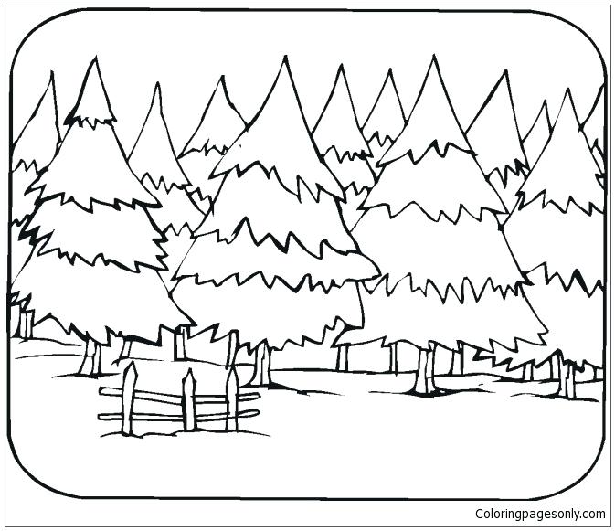 673x581 Forest Coloring Page An Tiger In Bamboo Forest Coloring Page