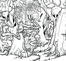 269x250 Forest Coloring Pages