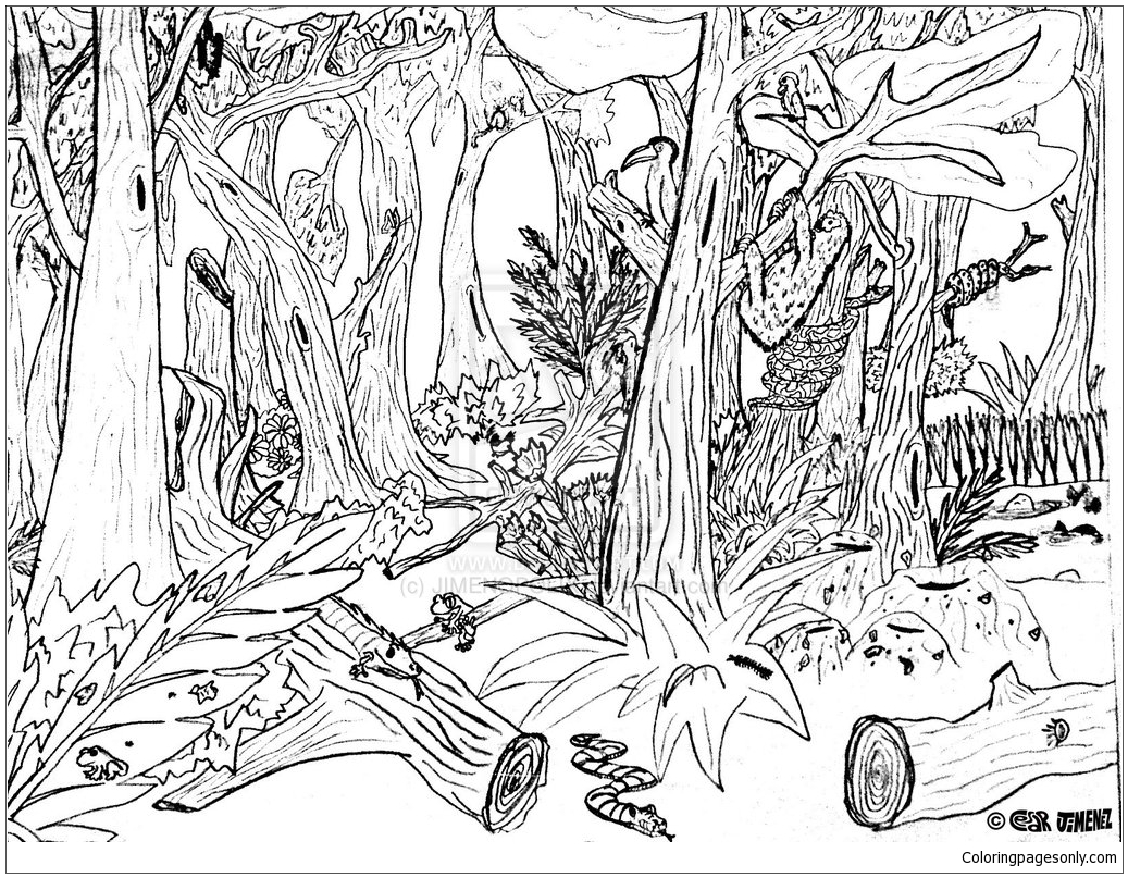 1037x807 Hard Forest Animals Coloring Page