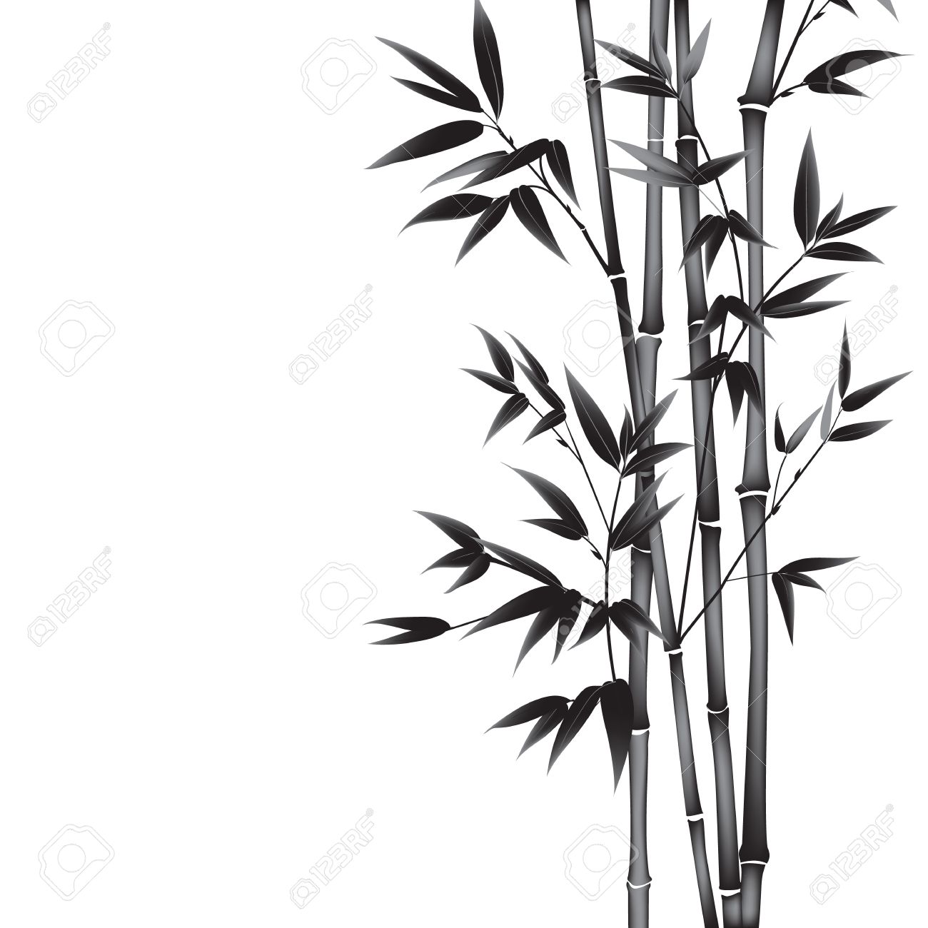 1300x1300 Ink Paint Bamboo Bush. Card With Black Bamboo Plants Isolated